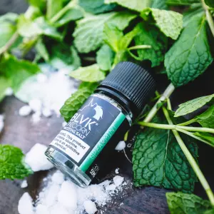 BLVK SALT SPEARMINT 30ML