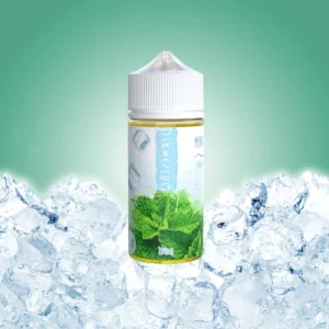 SKWEZED MINT ICE 100ML