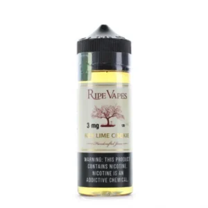 Ripe Vapes Key Lime Cookie – 120ml